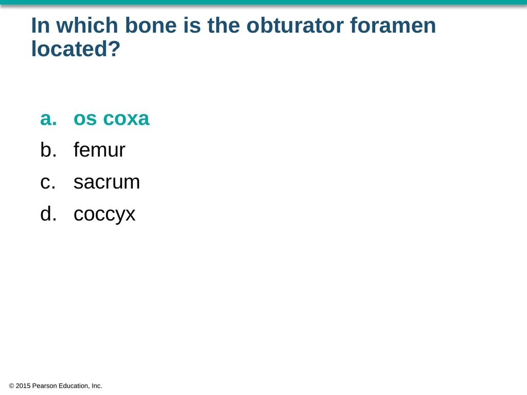 © 2015 Pearson Education, Inc. In which bone is - slide 3 of 53