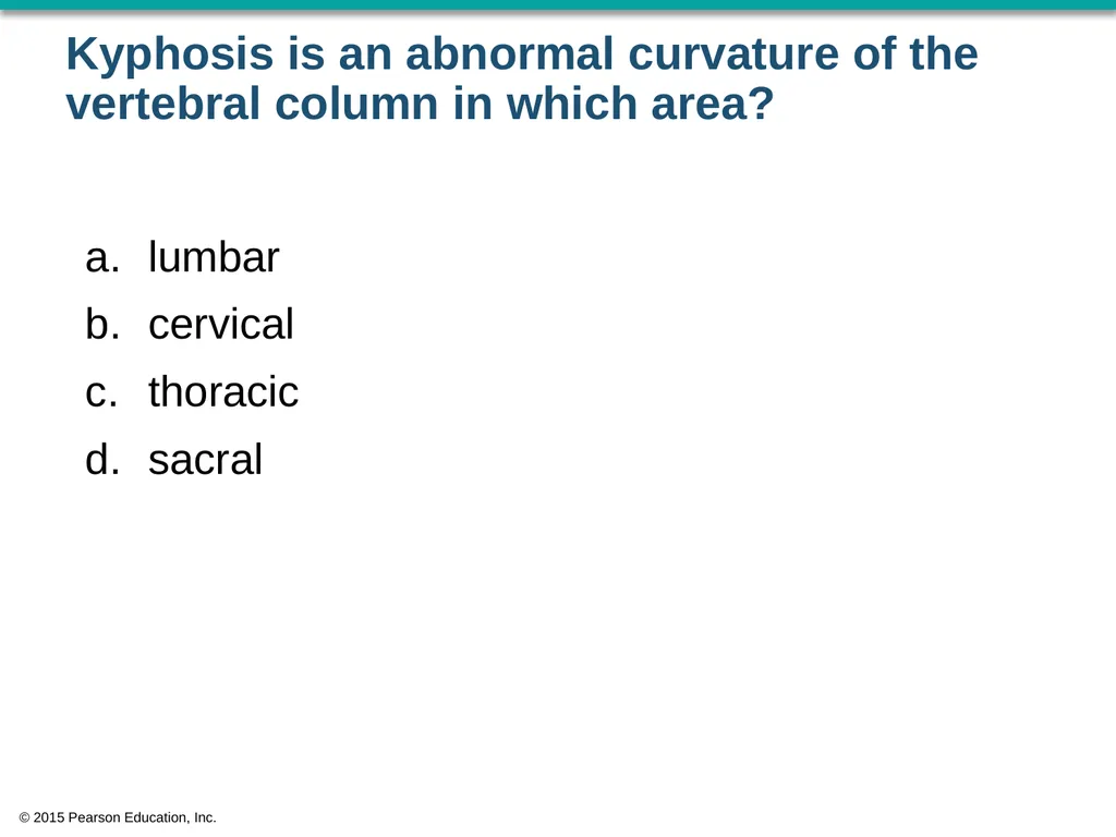 © 2015 Pearson Education, Inc. In which bone is - slide 32 of 53
