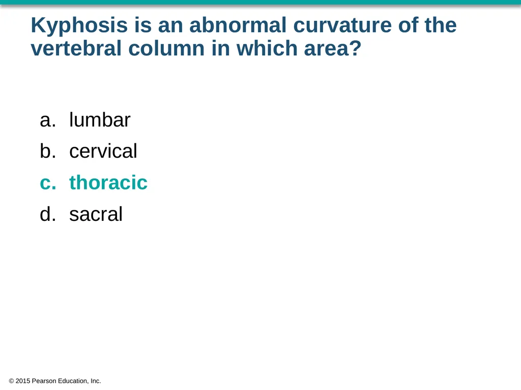 © 2015 Pearson Education, Inc. In which bone is - slide 33 of 53
