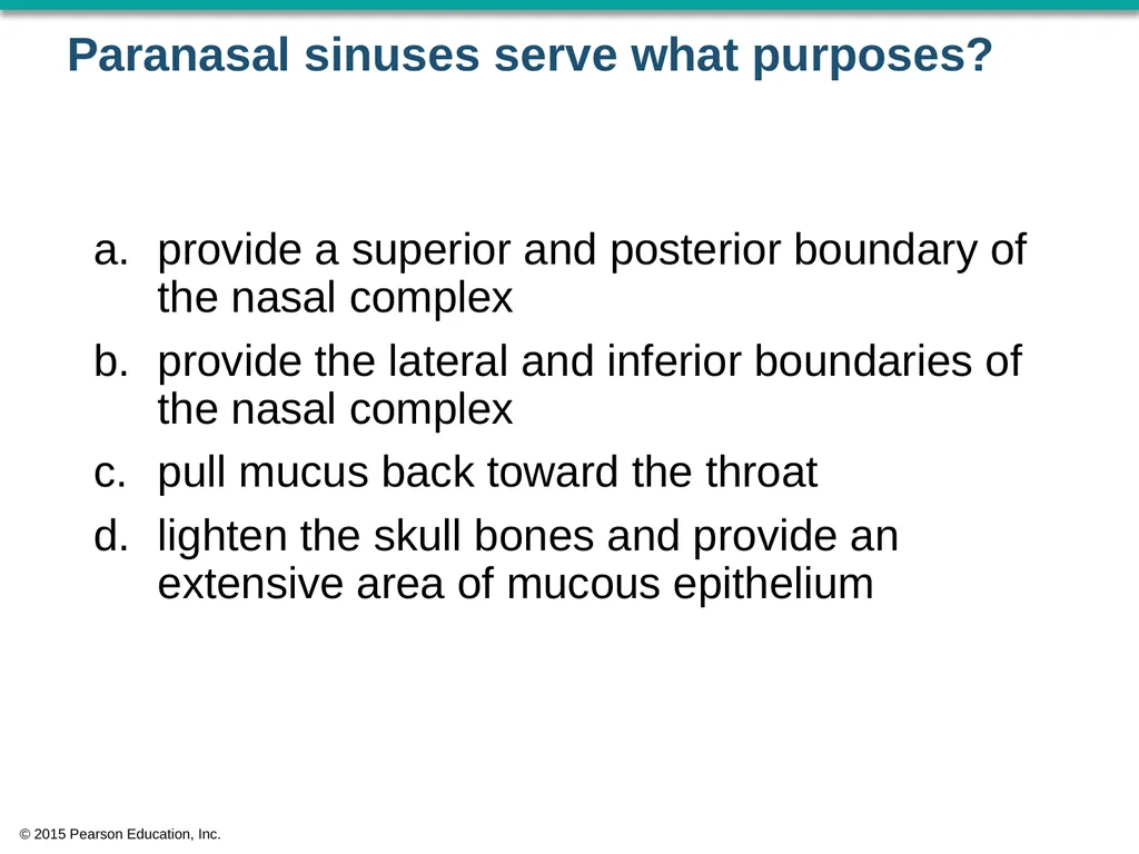 © 2015 Pearson Education, Inc. In which bone is - slide 10 of 53