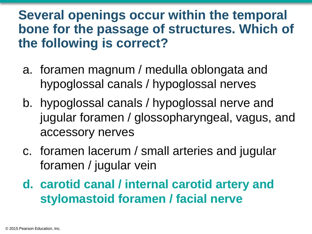 © 2015 Pearson Education, Inc. In which bone is - slide 53 of 53