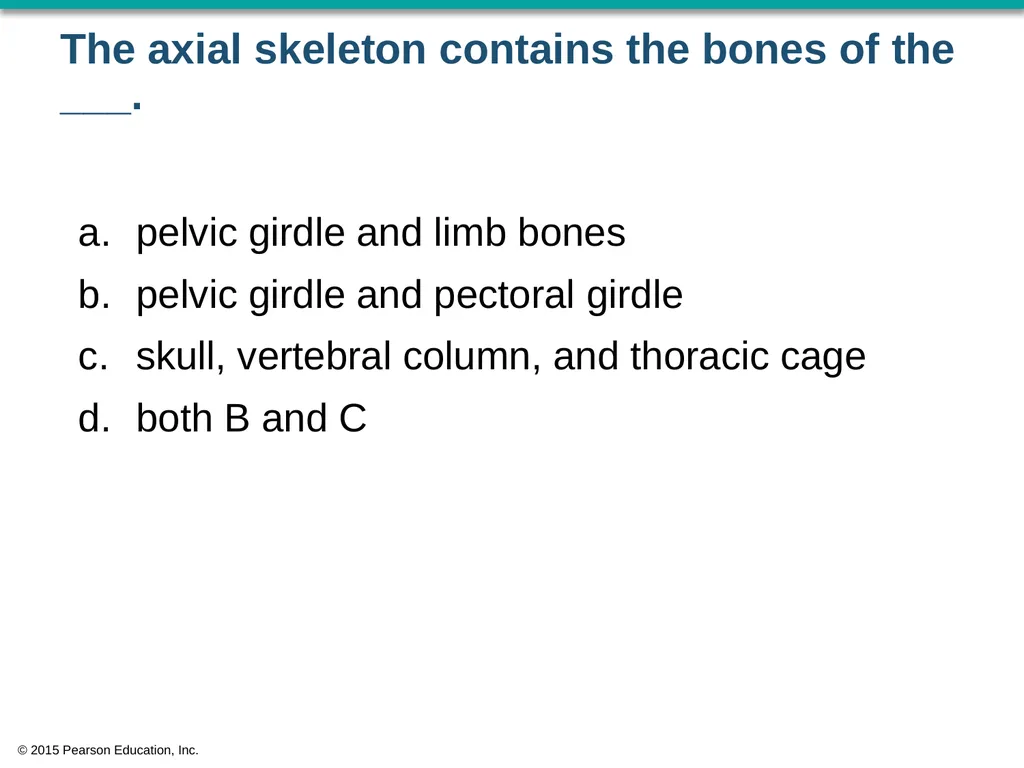 © 2015 Pearson Education, Inc. In which bone is - slide 22 of 53