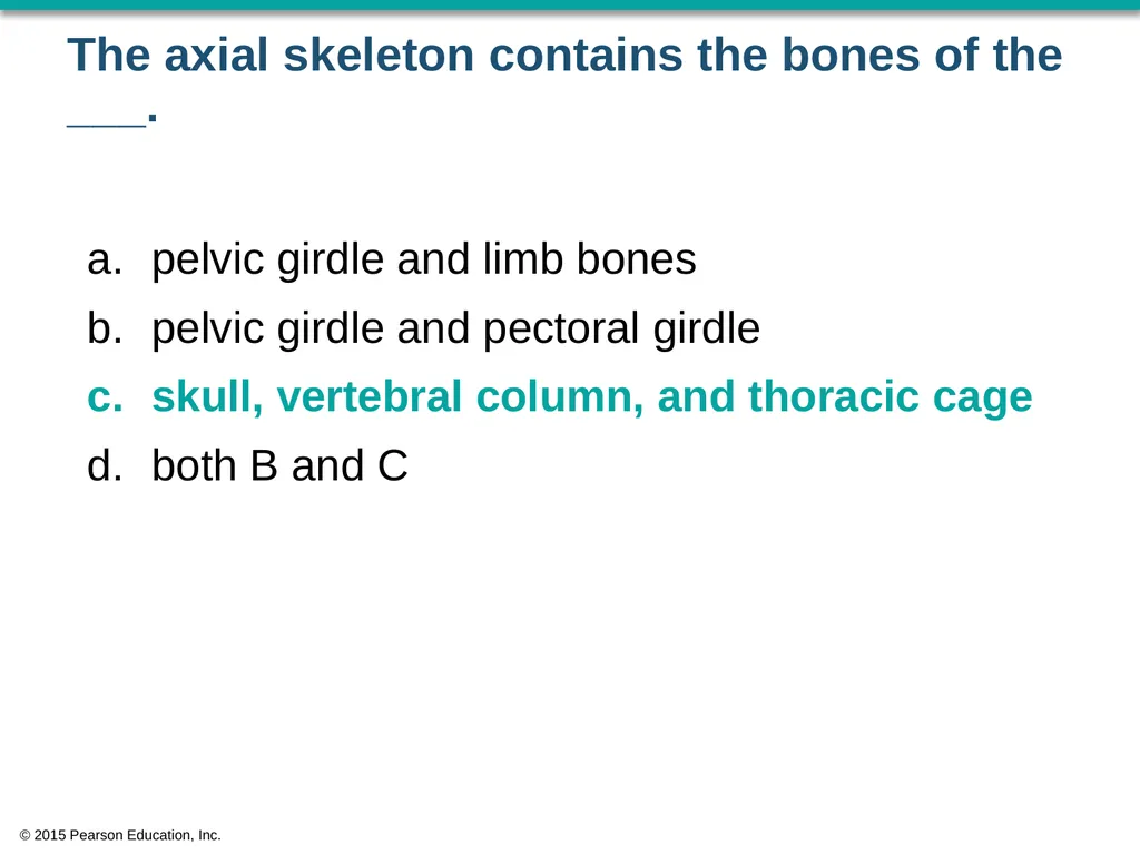 © 2015 Pearson Education, Inc. In which bone is - slide 23 of 53