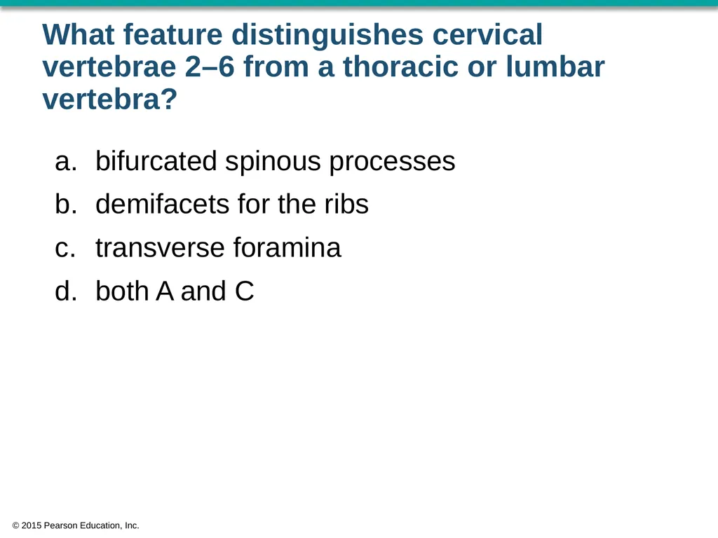 © 2015 Pearson Education, Inc. In which bone is - slide 44 of 53