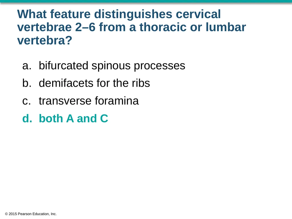 © 2015 Pearson Education, Inc. In which bone is - slide 45 of 53
