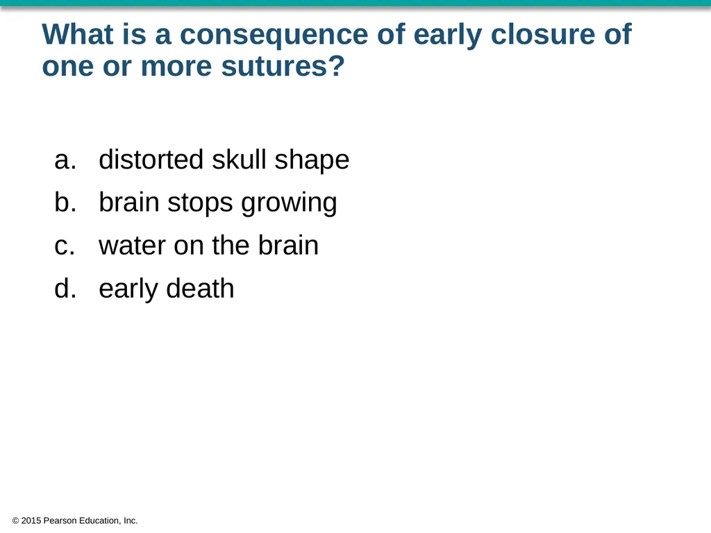 © 2015 Pearson Education, Inc. In which bone is - slide 46 of 53