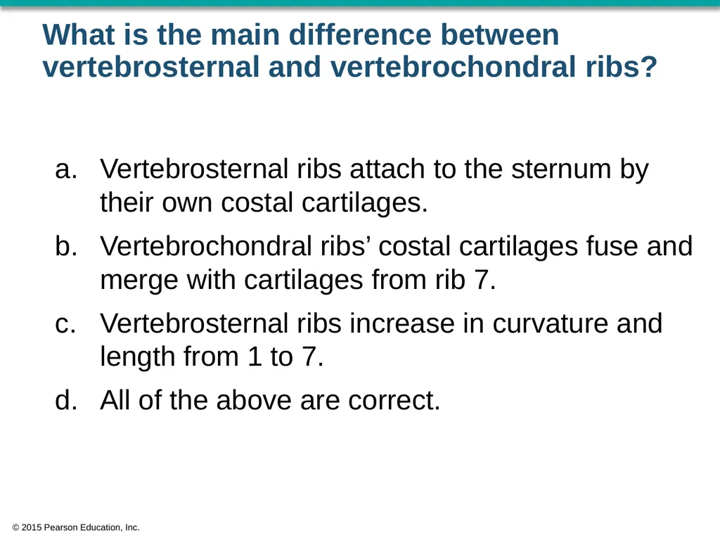 © 2015 Pearson Education, Inc. In which bone is - slide 30 of 53