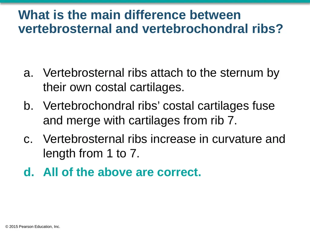 © 2015 Pearson Education, Inc. In which bone is - slide 31 of 53