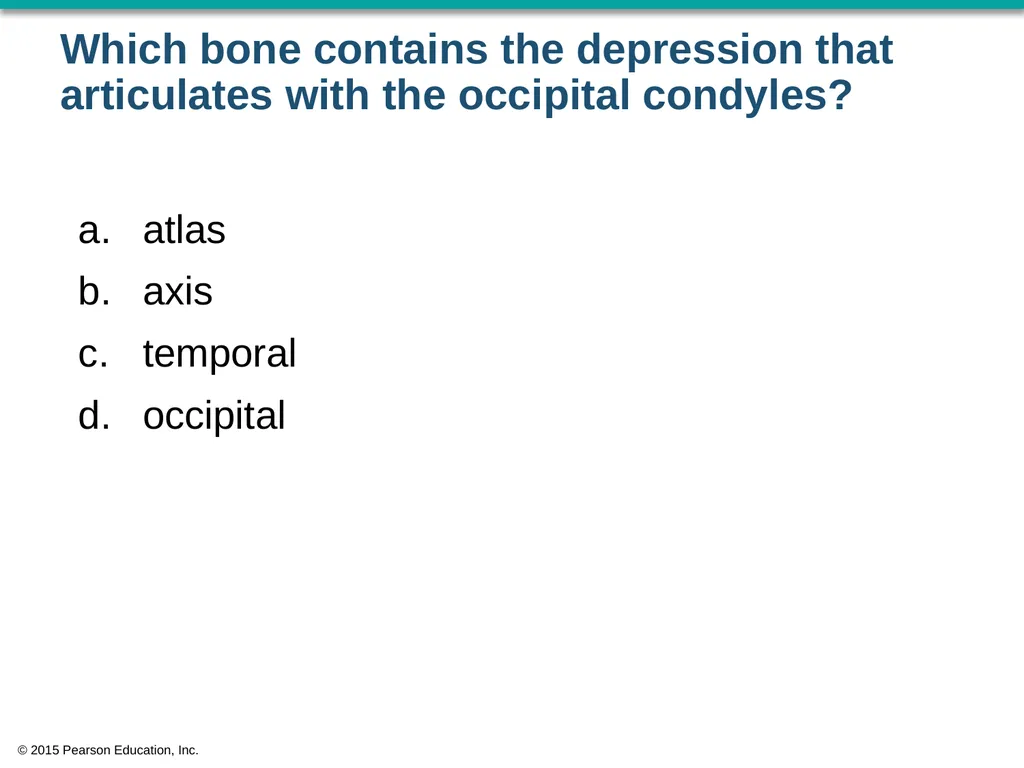© 2015 Pearson Education, Inc. In which bone is - slide 4 of 53