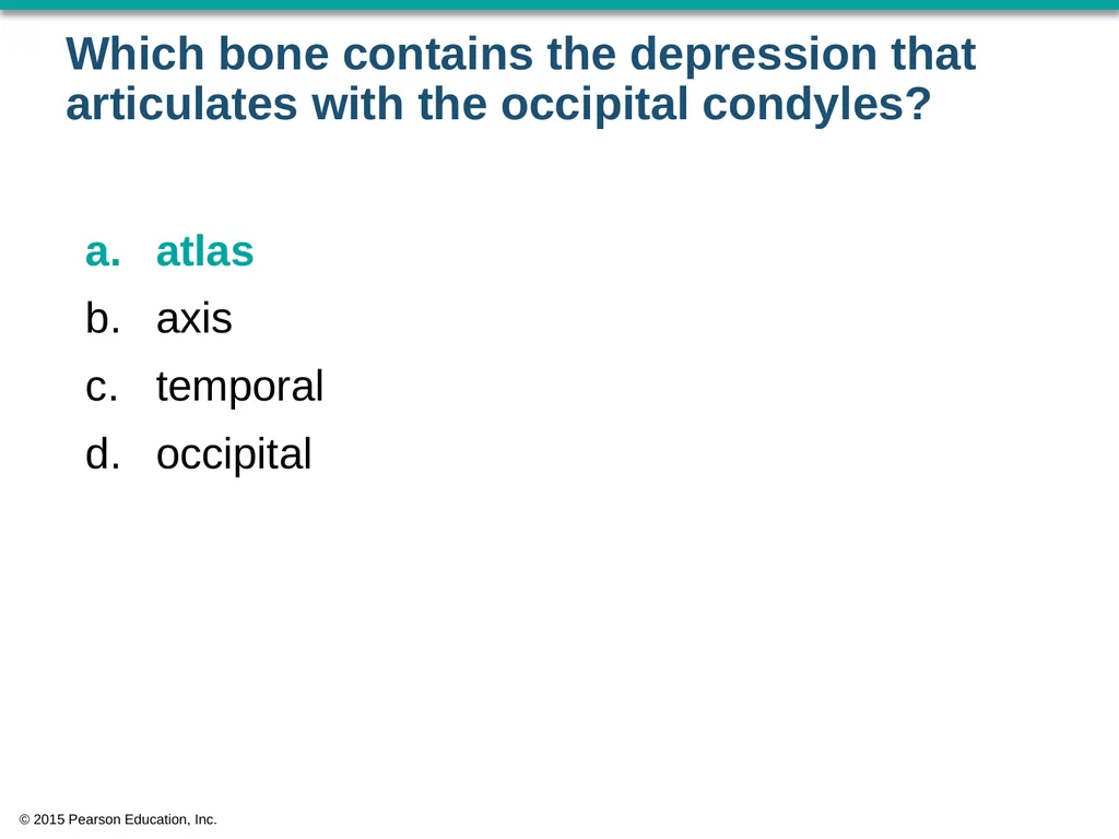 © 2015 Pearson Education, Inc. In which bone is - slide 5 of 53