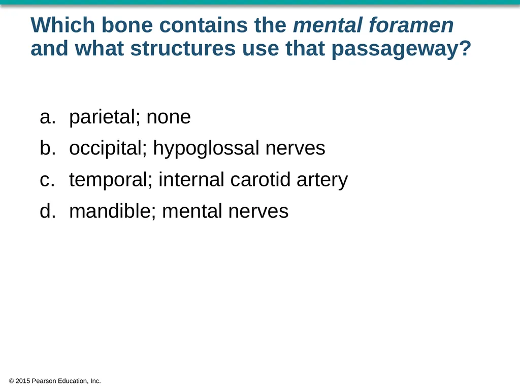 © 2015 Pearson Education, Inc. In which bone is - slide 16 of 53