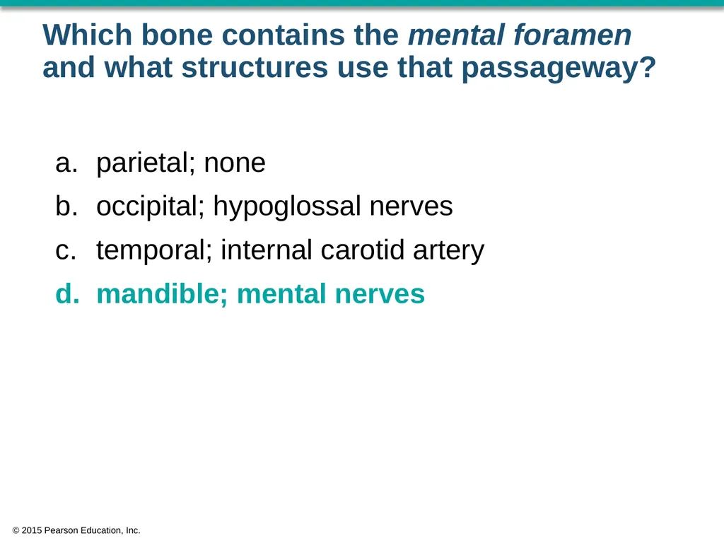 © 2015 Pearson Education, Inc. In which bone is - slide 17 of 53
