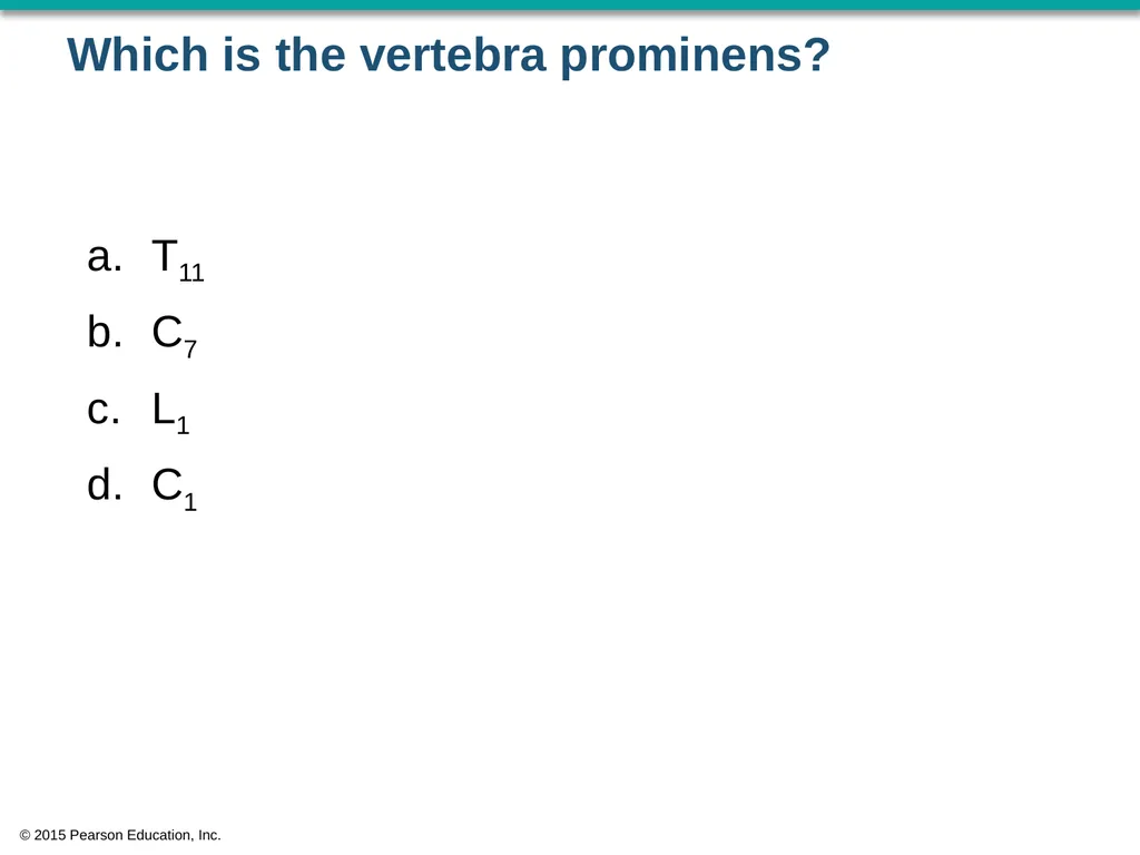 © 2015 Pearson Education, Inc. In which bone is - slide 36 of 53