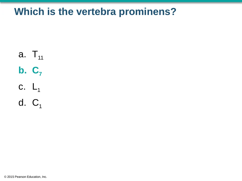 © 2015 Pearson Education, Inc. In which bone is - slide 37 of 53