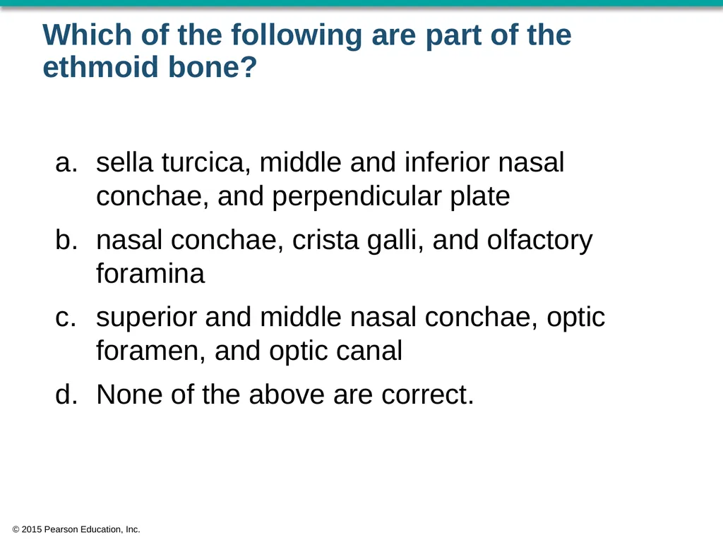 © 2015 Pearson Education, Inc. In which bone is - slide 18 of 53