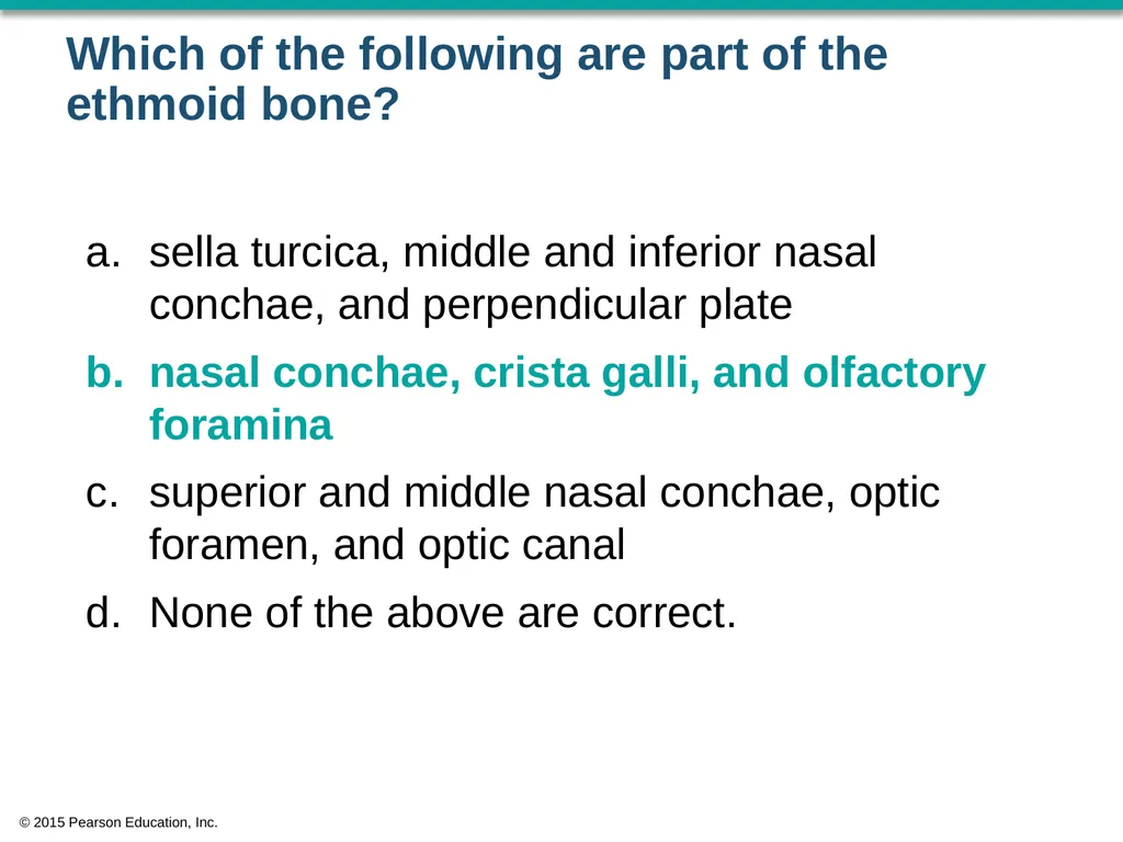 © 2015 Pearson Education, Inc. In which bone is - slide 19 of 53