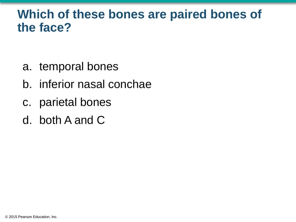 © 2015 Pearson Education, Inc. In which bone is - slide 14 of 53