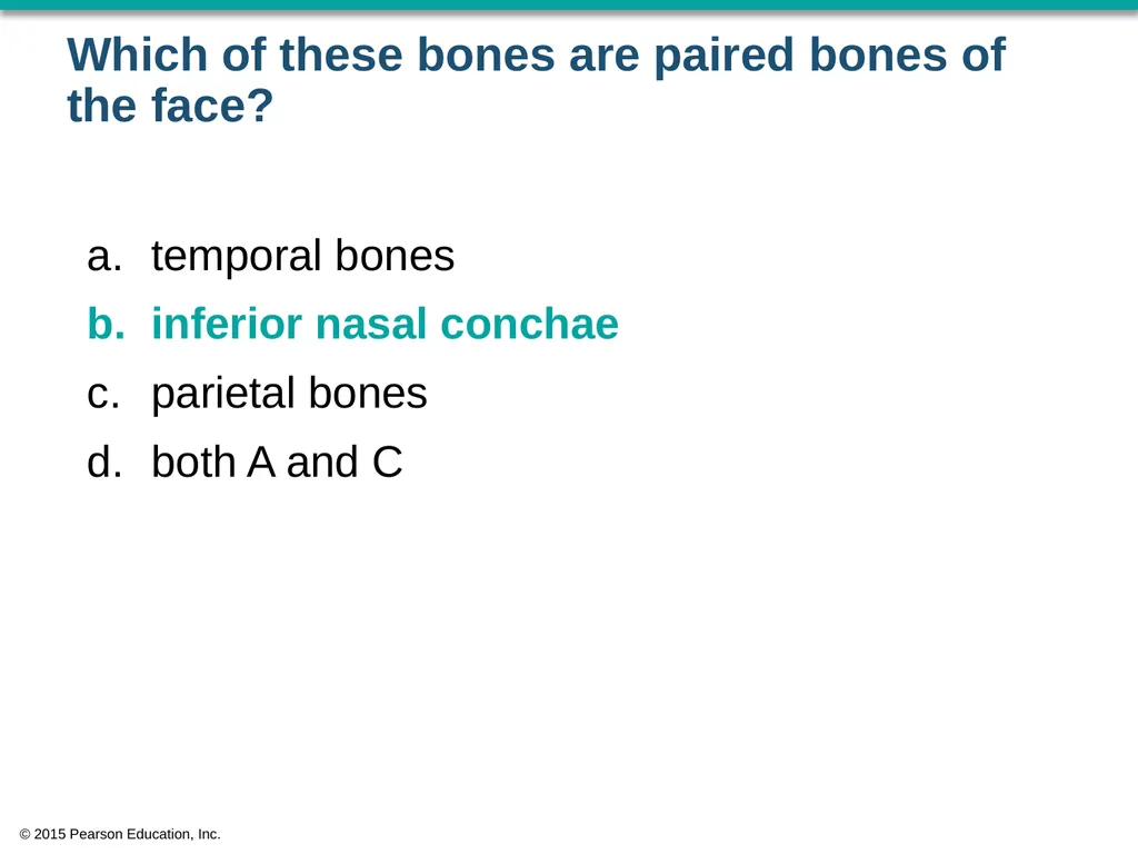 © 2015 Pearson Education, Inc. In which bone is - slide 15 of 53