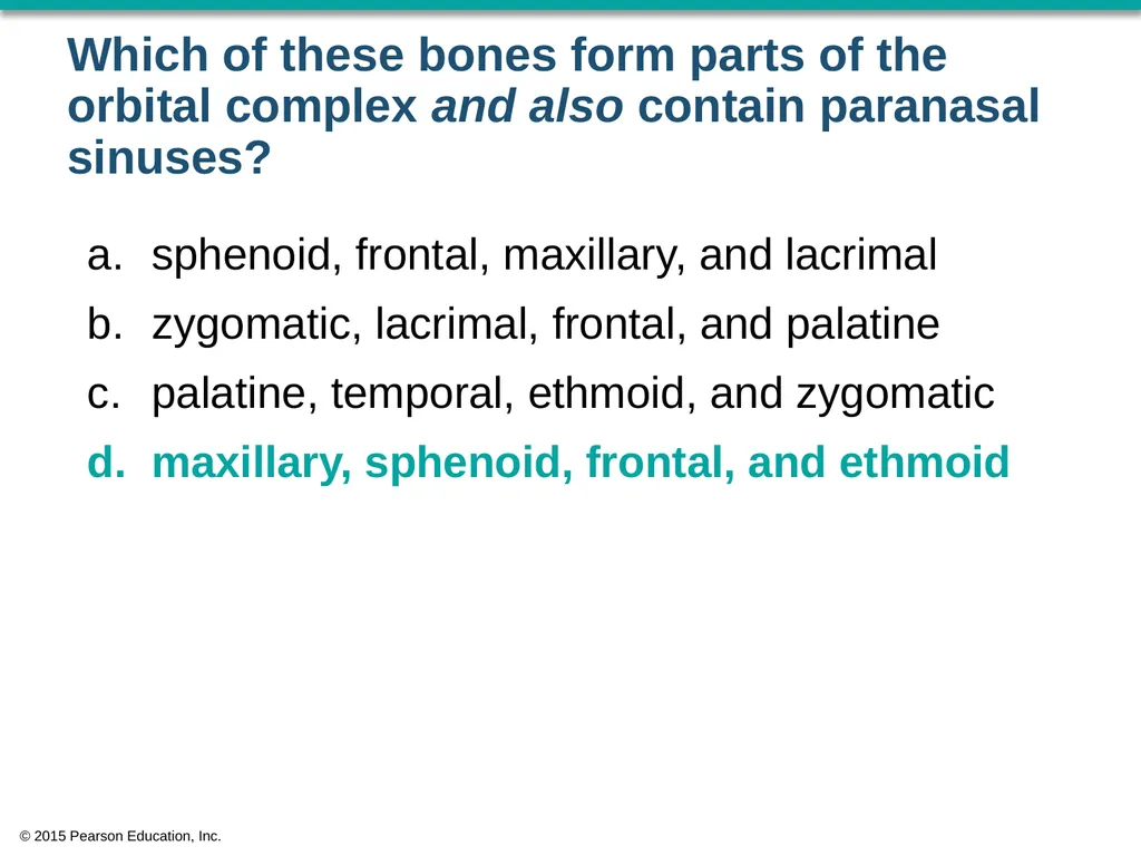 © 2015 Pearson Education, Inc. In which bone is - slide 51 of 53