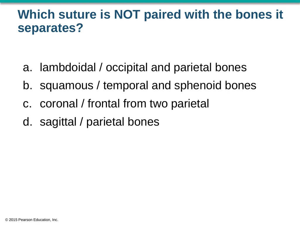 © 2015 Pearson Education, Inc. In which bone is - slide 6 of 53