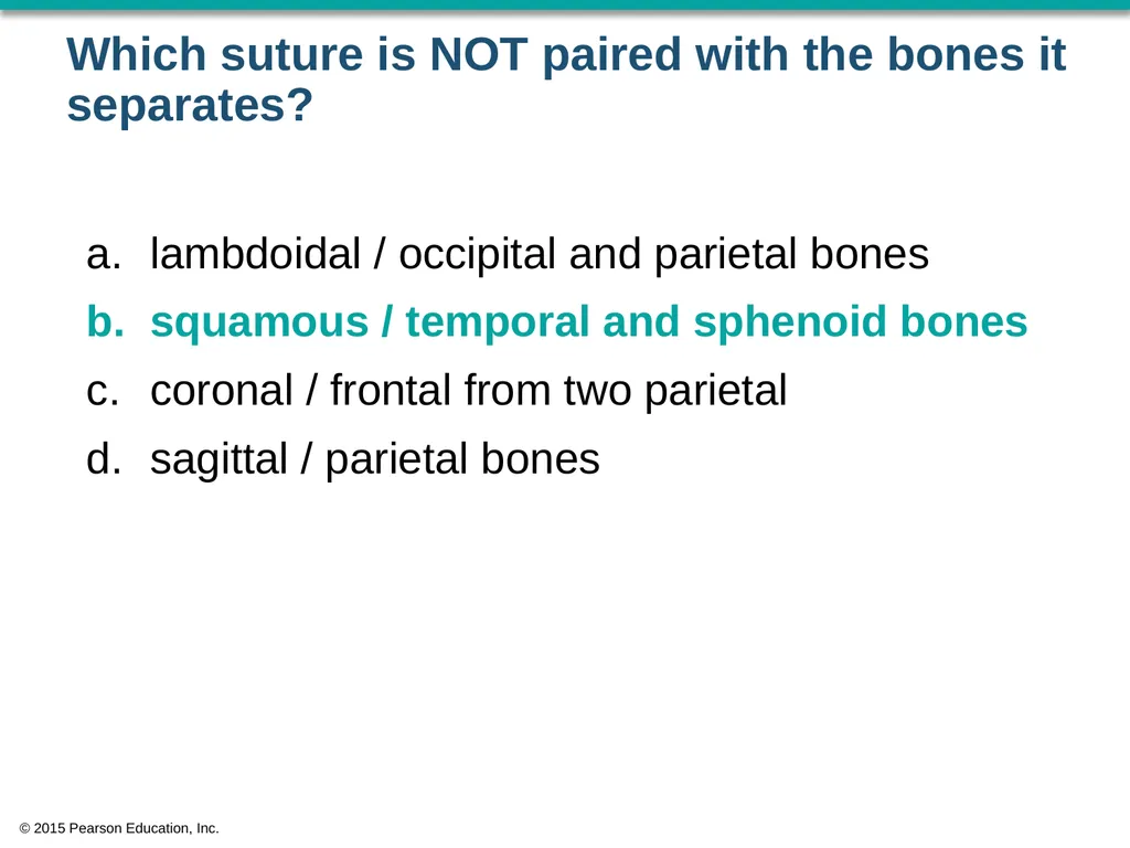 © 2015 Pearson Education, Inc. In which bone is - slide 7 of 53