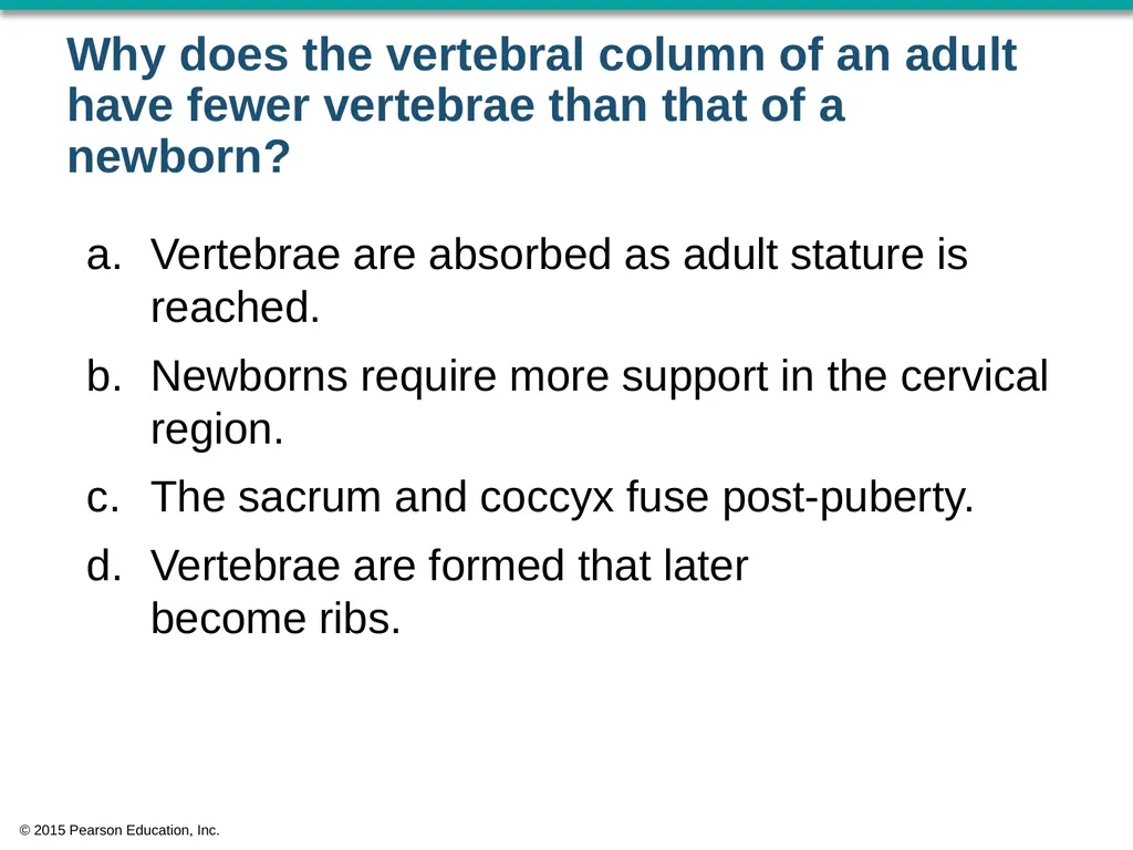 © 2015 Pearson Education, Inc. In which bone is - slide 48 of 53