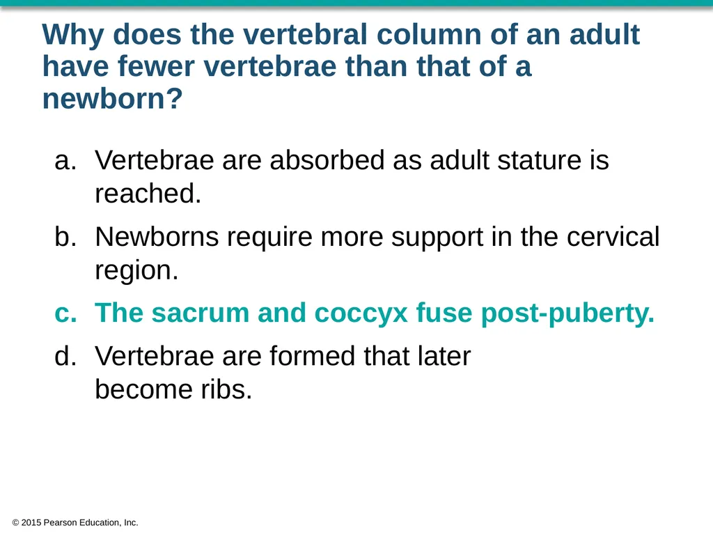 © 2015 Pearson Education, Inc. In which bone is - slide 49 of 53
