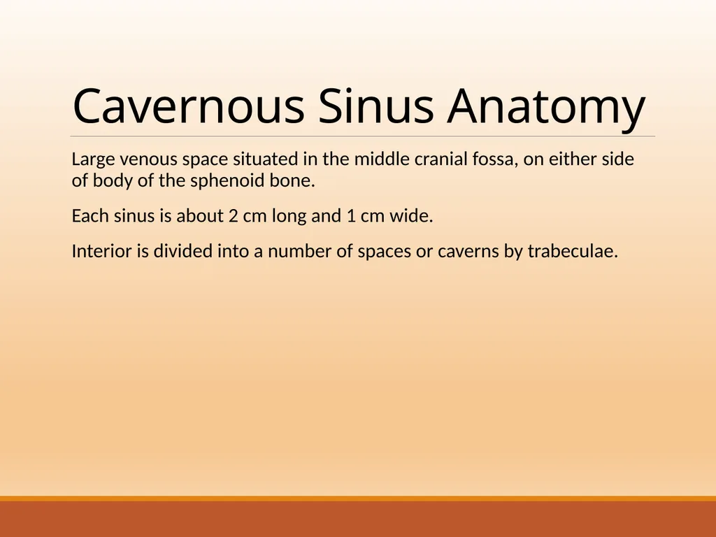 CAVERNOUS SINUS THROMBOSIS Cavernous Sinus Anatomy - slide 2 of 29