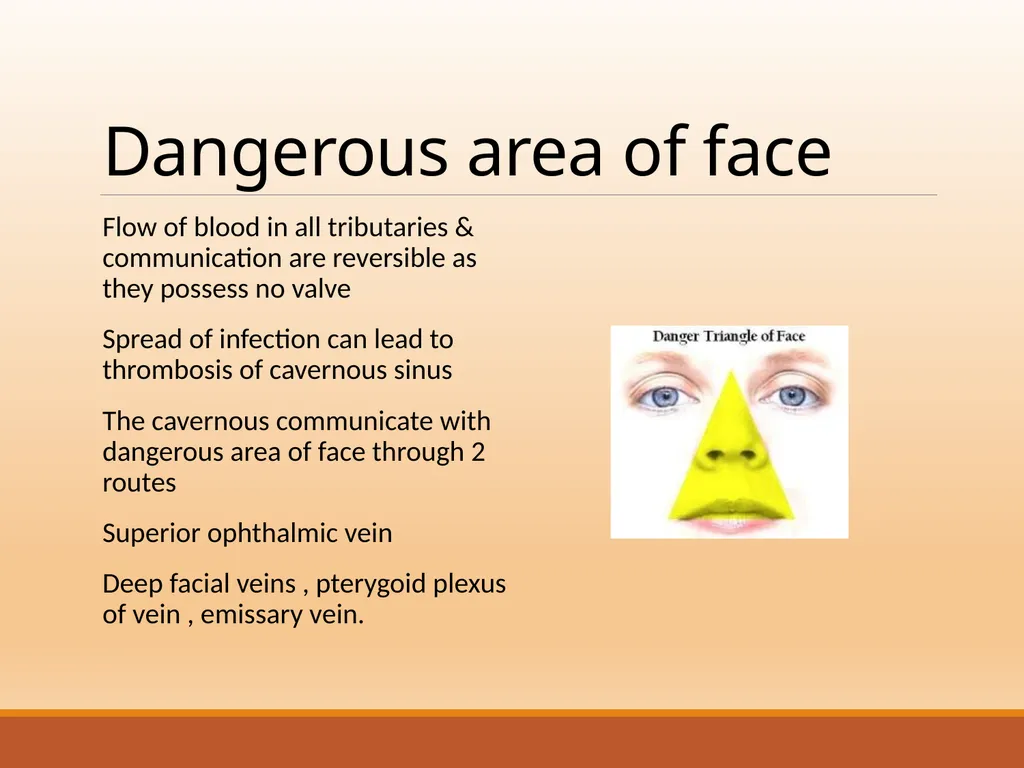 CAVERNOUS SINUS THROMBOSIS Cavernous Sinus Anatomy - slide 7 of 29