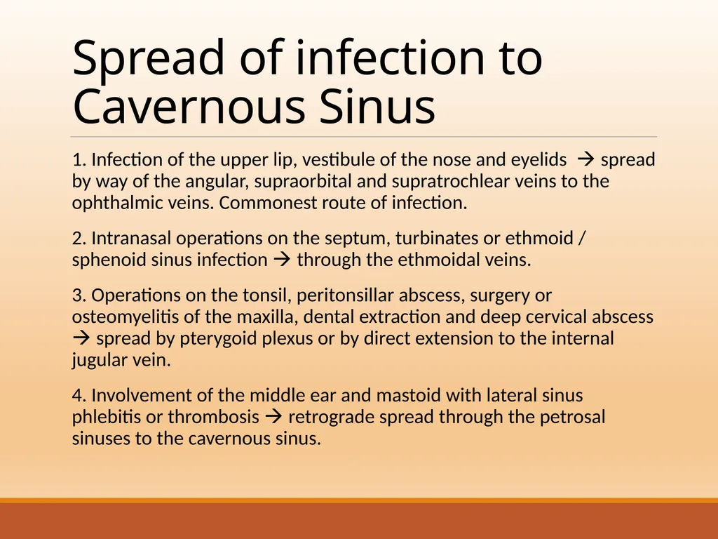 CAVERNOUS SINUS THROMBOSIS Cavernous Sinus Anatomy - slide 8 of 29