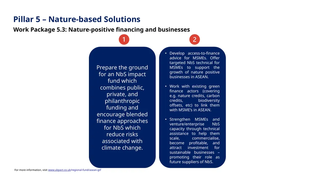 8 May 2025 Enhancing Nature-based Solutions for - slide 14 of 30