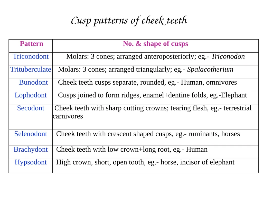 DENTITION IN MAMMALS B.Sc. (H), SEM II: - slide 6 of 10