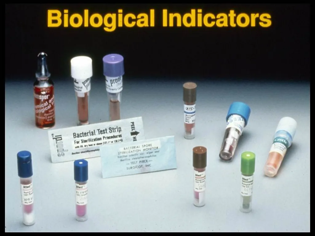 Principles of Disinfection and Sterilization in - slide 35 of 45
