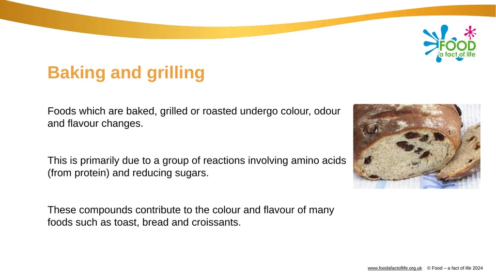 Dry heat Toasting bread What happens when bread is - slide 6 of 8