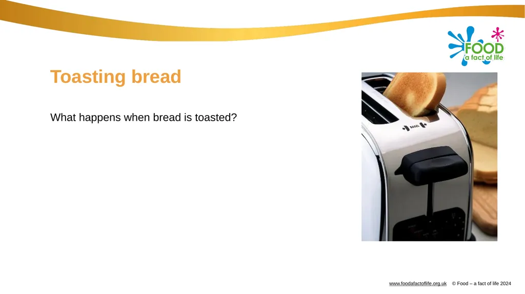 Dry heat Toasting bread What happens when bread is - slide 2 of 8