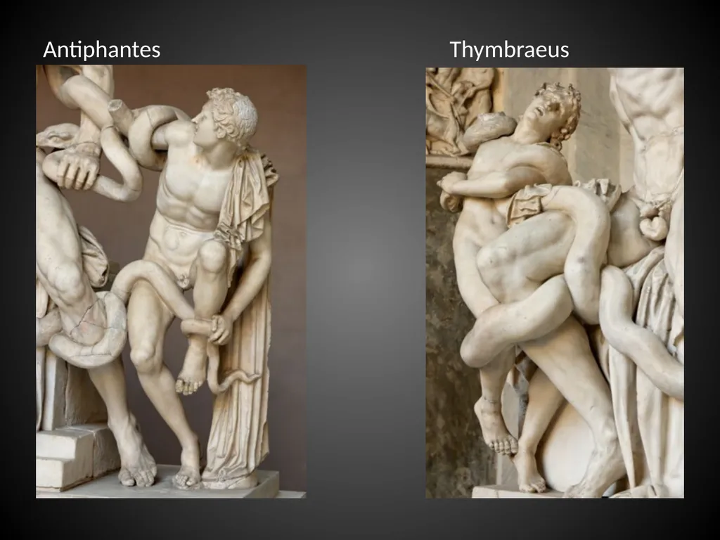 The Transition from the Classical period to the - slide 18 of 23