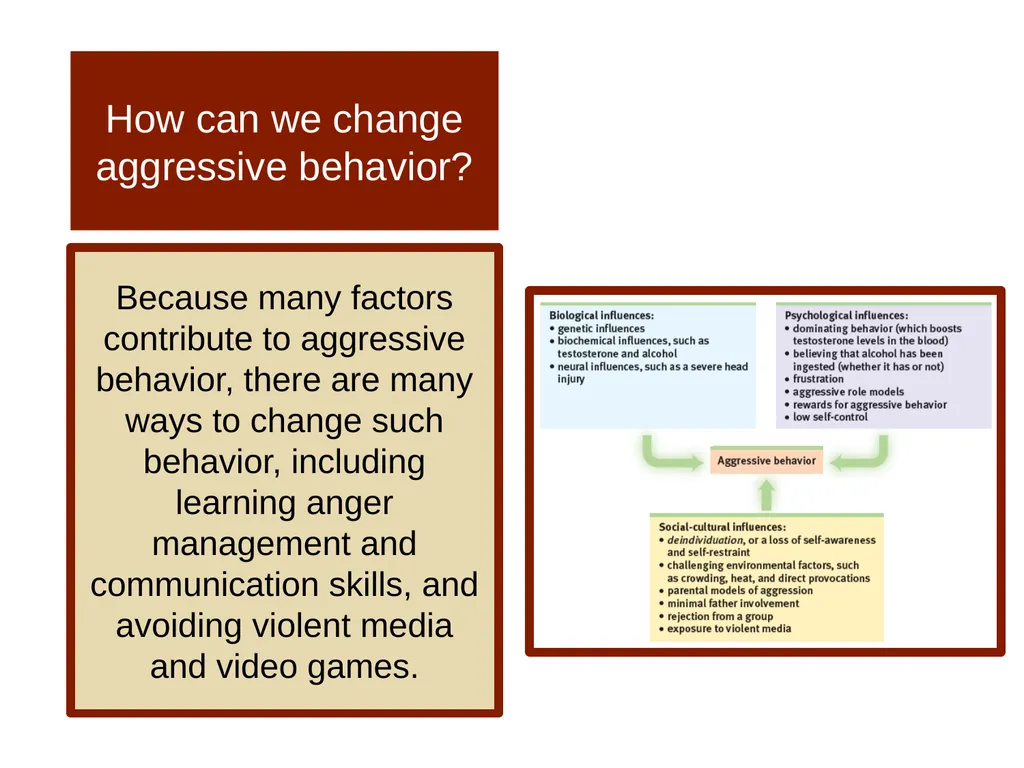 Unit 14 Social Psychology Module 78 Aggression - slide 25 of 28