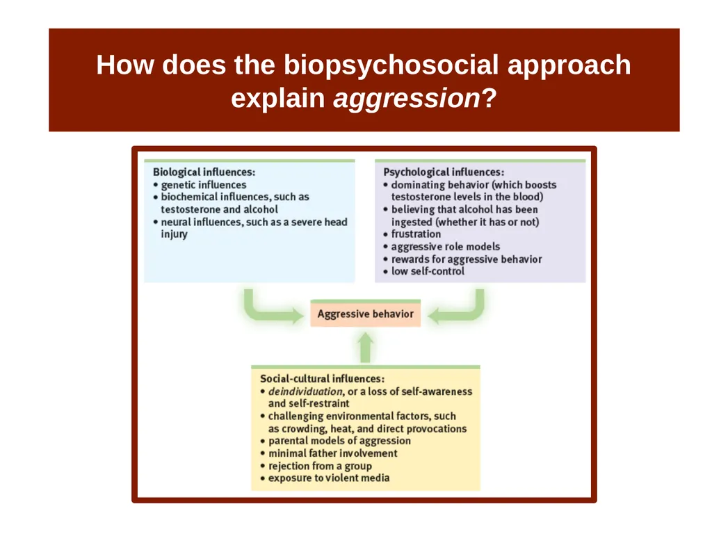 Unit 14 Social Psychology Module 78 Aggression - slide 24 of 28