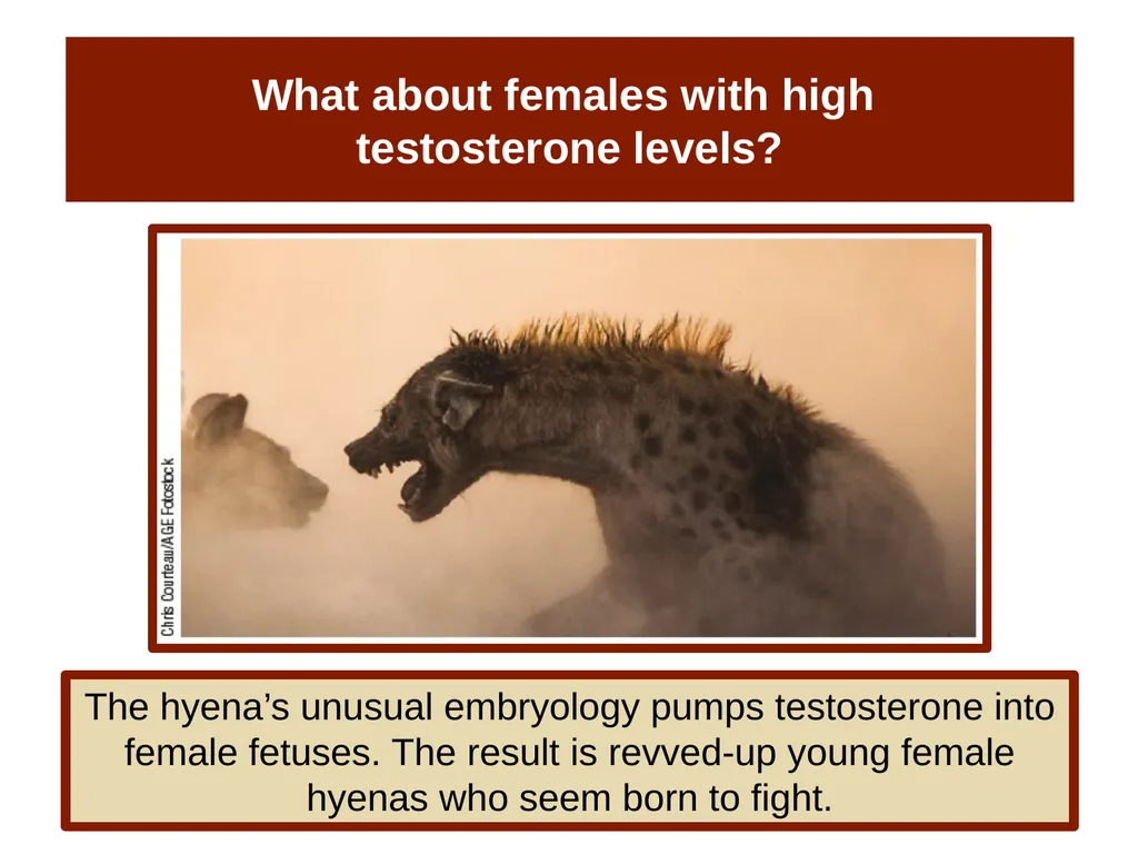 Unit 14 Social Psychology Module 78 Aggression - slide 8 of 28