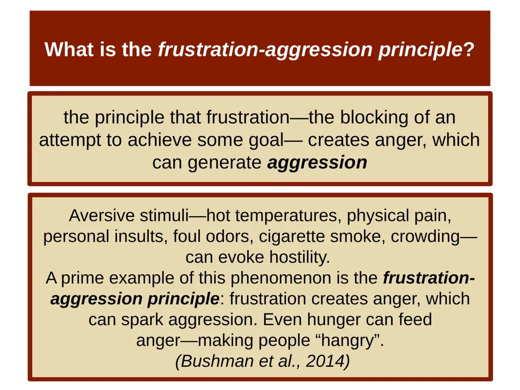 Unit 14 Social Psychology Module 78 Aggression - slide 12 of 28