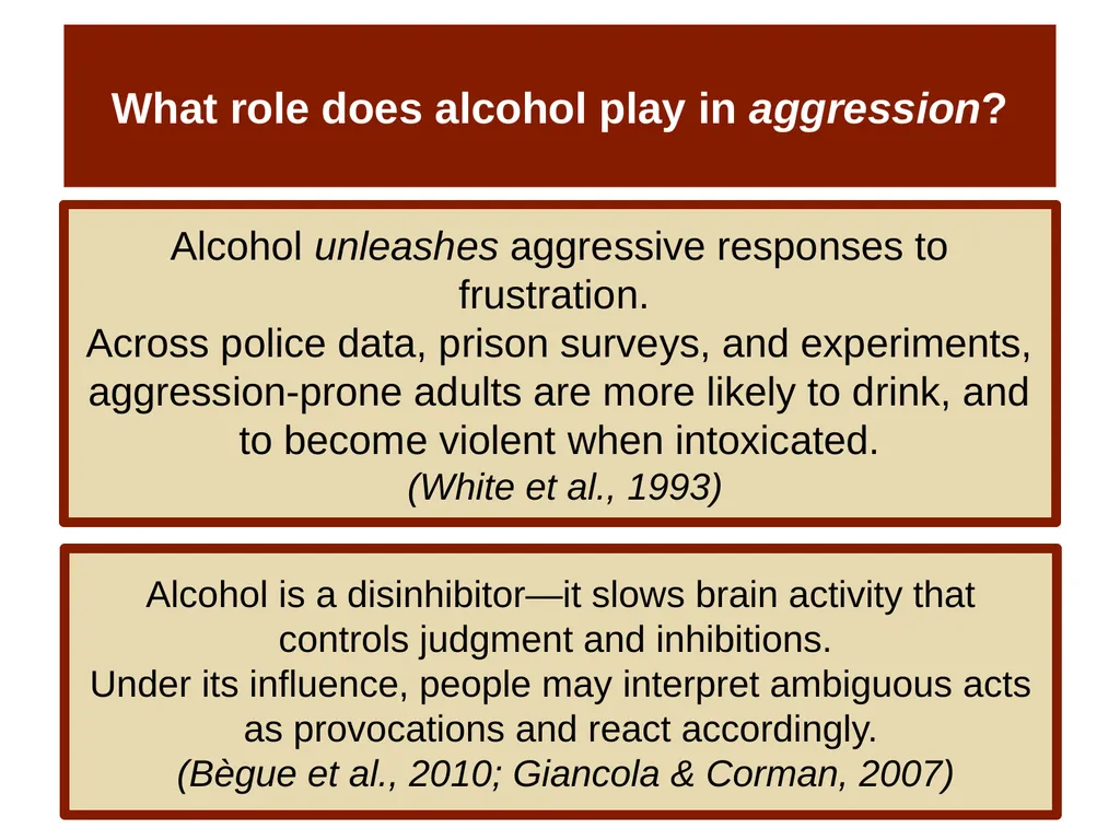 Unit 14 Social Psychology Module 78 Aggression - slide 10 of 28