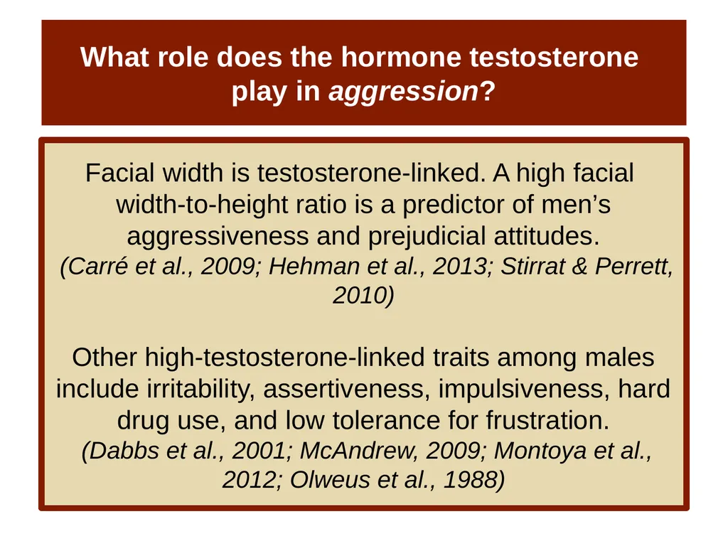 Unit 14 Social Psychology Module 78 Aggression - slide 7 of 28