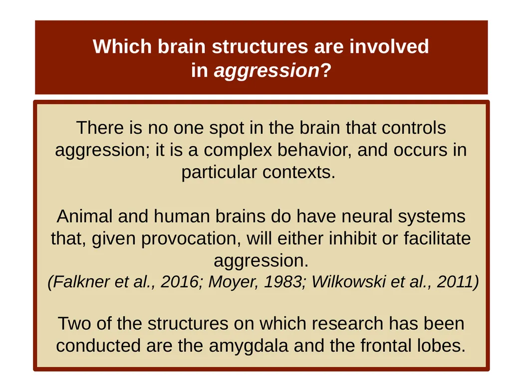 Unit 14 Social Psychology Module 78 Aggression - slide 6 of 28