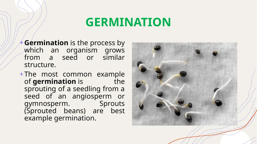 METHODS OF COOKING PROF. VIJENDER NOONWAL DEPT OF - slide 48 of 48
