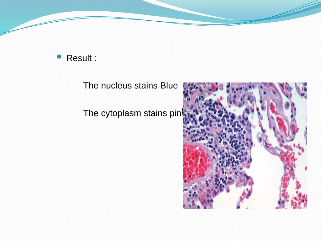 Tissue Processing Dr. Rucha Gore HISTOLOGY : It is - slide 41 of 50