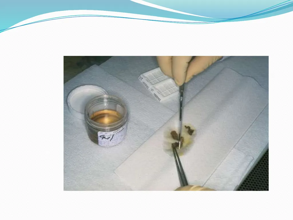 Tissue Processing Dr. Rucha Gore HISTOLOGY : It is - slide 13 of 50
