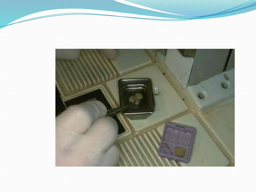 Tissue Processing Dr. Rucha Gore HISTOLOGY : It is - slide 14 of 50