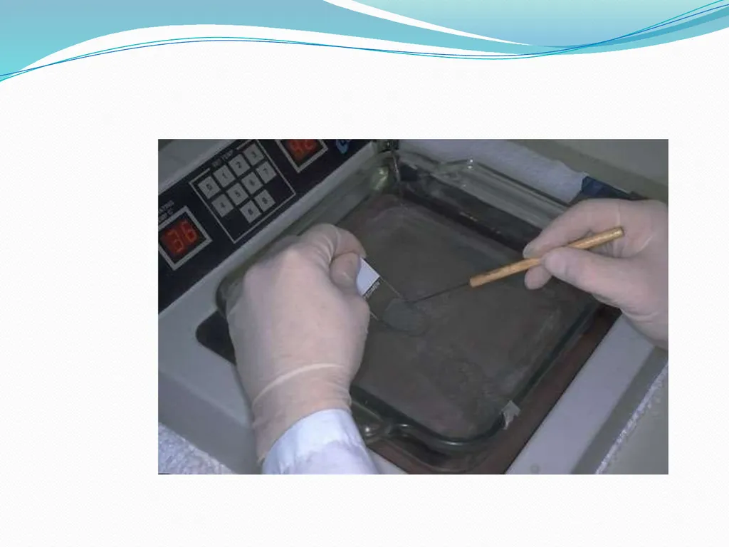 Tissue Processing Dr. Rucha Gore HISTOLOGY : It is - slide 37 of 50