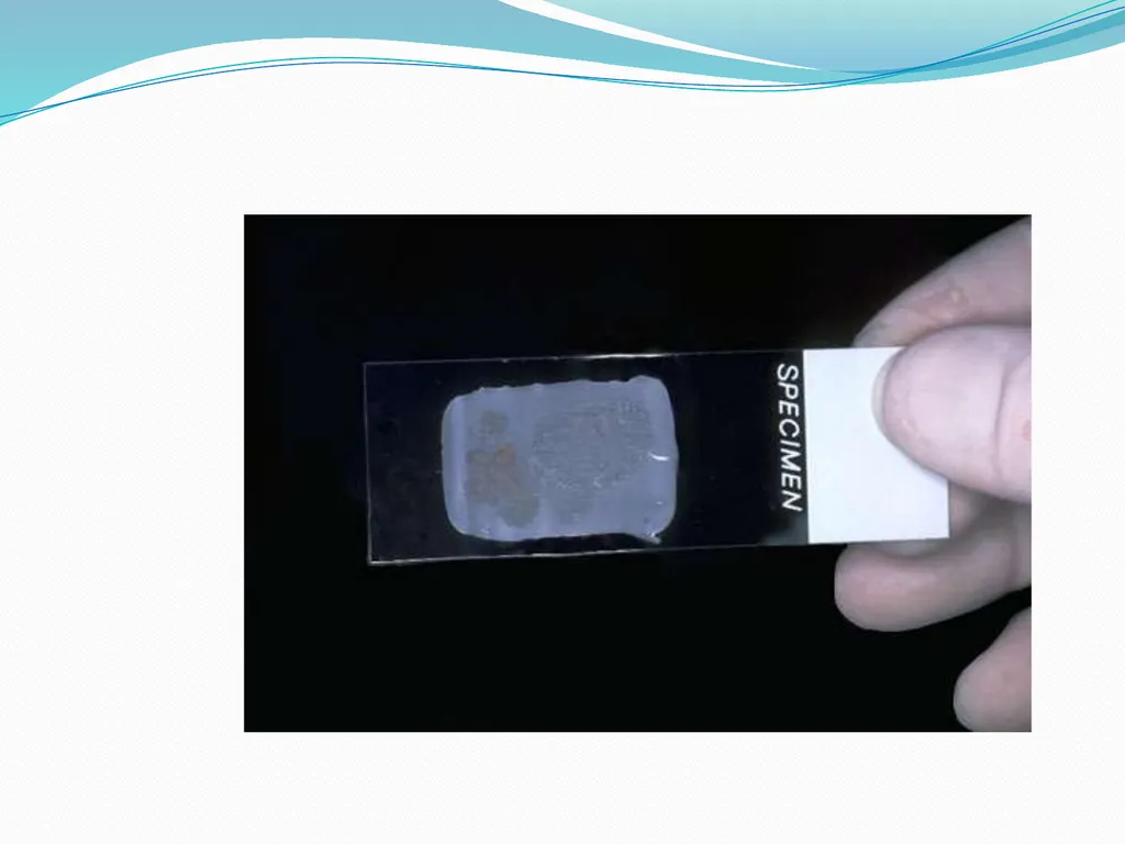 Tissue Processing Dr. Rucha Gore HISTOLOGY : It is - slide 38 of 50