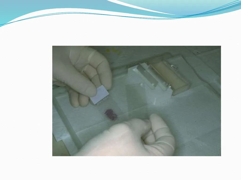 Tissue Processing Dr. Rucha Gore HISTOLOGY : It is - slide 44 of 50